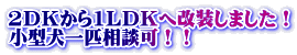 2cj1kcj։܂I ^CkII